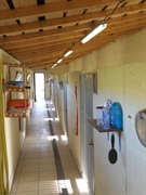 boarding kennels cattery south - 3