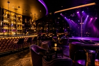 premium nightlife entertainment business - 1