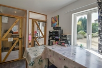 established cattery with beautiful - 3