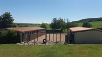 boarding kennels cattery south - 2
