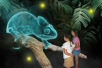 thriving hologram zoo high - 2