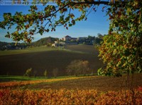 campsite albi - 2