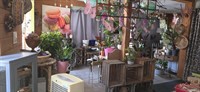 florist - 3