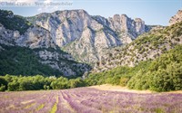 bed breakfast gite valence - 3