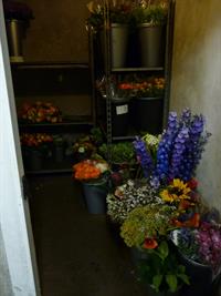 florist business orleans - 1
