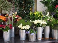 flower shop valenciennes - 1