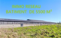 equestrian estate with 5500m - 1