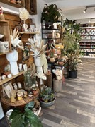 florist shop for sale - 3