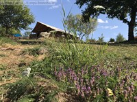 campsite limoges - 2