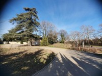 commercial premises with land - 2