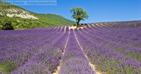 bed breakfast gite valence - 2