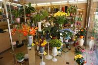 flower shop bievres - 1