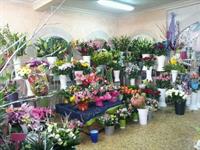 flower shop of 80m2 - 1