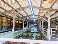equestrian estate with 5500m - 3
