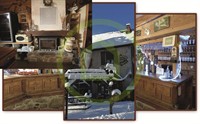 thriving mountain restaurant themed - 2