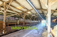 equestrian estate with 5500m - 3