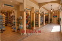 premium commercial premises cap - 2