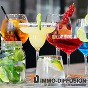 bar premises with terrace - 1