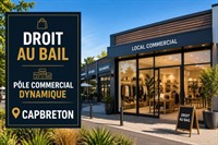 commercial leasehold for sale - 1