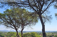campsite hyeres - 3