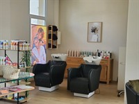 established hair salon with - 1