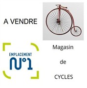 bicycle shop ille-et-vilaine for - 1