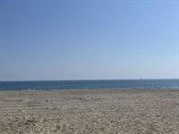 prime beachfront restaurant business - 1