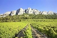 restaurant for sale gigondas - 2