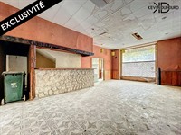 commercial premises with development - 1