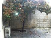 local commercial a vendre