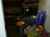 florist business orleans for