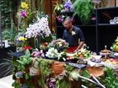 beautiful florist shop paris