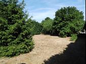 commercial space neuville les
