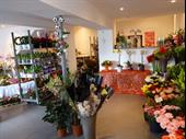 florist business nonancourt for