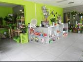 florist business mennecy for