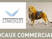 warehouse of 17m2 vienne