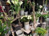 commercial space valenciennes for