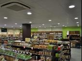 commercial space noe for