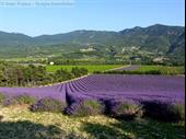 campsite valence for sale
