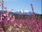 campsite perpignan for sale