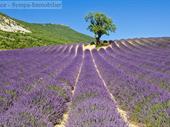 bed breakfast gite valence