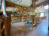 thriving mountain restaurant themed