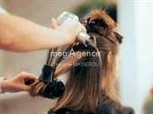 for sale renovated hair