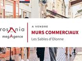 commercial walls les sables