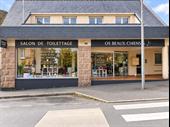 pet grooming business for