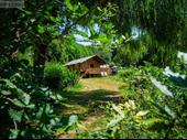 campsite la salvetat sur