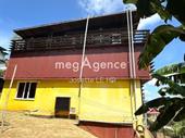commercial professional building cayenne
